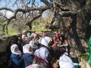Diyarbakır’da ‘Murat Şenlikleri’ Yapıldı