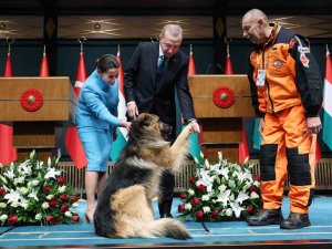 Cumhurbaşkanı Erdoğan: “Tanap’tan Macaristan’a Doğalgaz Göndermeye Hazırız"