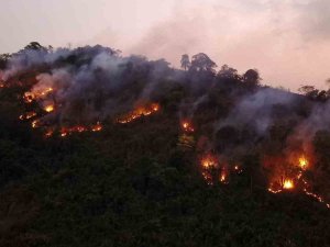 Tayland’da Yıldırım Düşmesi Sonucu Milli Parkta Yangın Çıktı