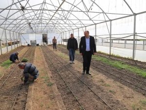 Çukurca’da Fide Ekimine Başlandı