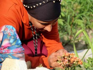 Depremde 2 Çocuğunu Kaydeden Azeri Anne, Gözyaşları İçinde Destek İstedi