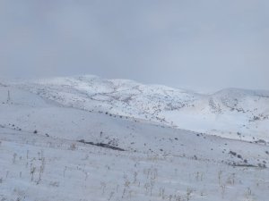 Aşkale Güne Kar İle Uyandı