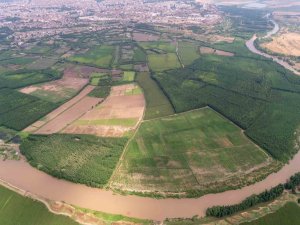 Diyarbakır’da Çiftçinin Yüzü Son Yağışlarla Güldü