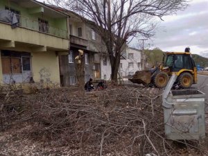 Bingöl’de Fırtına Nedeniyle Devrilen Ağaçlar, Belediye Ekiplerince Kaldırılıyor