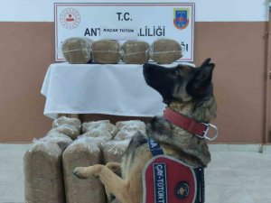 Antalya’da Kaçakçılarla Mücadele