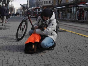 Kayıp Köpeğe Duyarlı Vatandaş Sahip Çıktı
