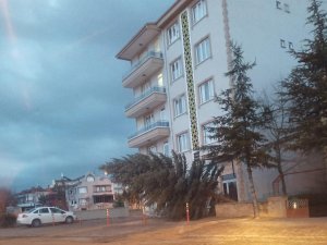 Gündüzün Gece Gibi Karardığı İlçede Fırtına Ağaçları Yerinden Söktü