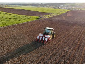 Edirne’de Ayçiçeği Ekim Mesaisi Başladı