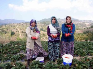 Başkan Aykurt: “Kırsalda Üretim Yapan Vatandaşlarımızın Sigorta Primleri Devletimiz Tarafından Karşılanmalıdır”