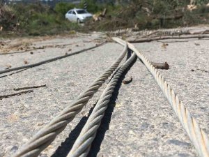 Rüzgarda Devrilen Asırlık Ağaç Yolu Ulaşıma Kapattı