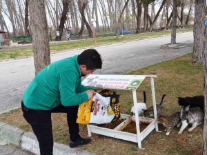 Ereğli Belediyesi Sokak Hayvanlarına Sahip Çıkıyor