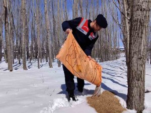Jandarma Doğaya Yem Bıraktı