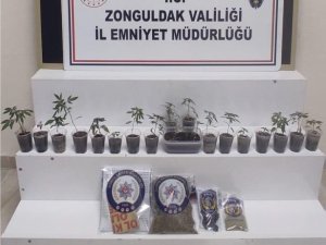 Zonguldak’ta Uyuşturucu Operasyonu: 1 Gözaltı