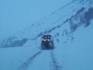 Siirt’te Kar Yolları Kapattı, Ekipler Seferber Oldu