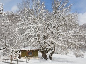 Göktepe Yaylasındaki Kar Manzaraları Görenleri Mest Ediyor