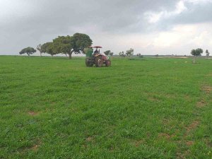 Adana’da Meralarda İlkbahar Gübrelemesi Yapıldı