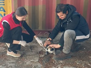 Polis Kurtardı, Kızılay Sahiplendi, Adı ’Afet’ Oldu