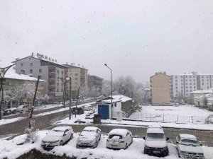 Hizan’da Kar Yağışı