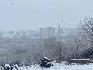 Diyarbakır’da Etkili Olan Kar Yağışı Çiftçiyi Hem Sevindirdi Hem De Korkuttu