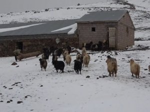 Muş’ta Kar Yağışı