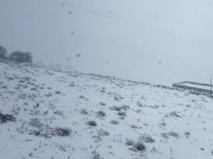 Mazıdağı Beyaz Örtüye Büründü