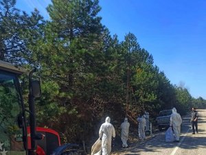 Özel Giysilerle Çam Kese Tırtıllarıyla Mücadele Ediyorlar