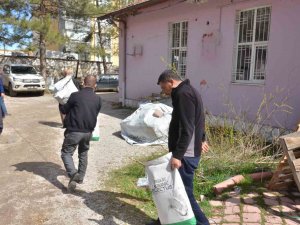 Çiftçilere Ücretsiz Mısır Tohumu Desteği