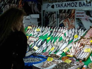 Av Yasağı Öncesi Balık Azaldı, Ramazan Ayında Satışlar Düştü