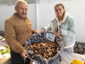 Köylüler Ormandan Topluyor, Kilosu Bin Tl