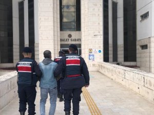 24 Yıl Hapis Cezası Hükümlüsü Firari, Jandarma Tarafından Yakalandı