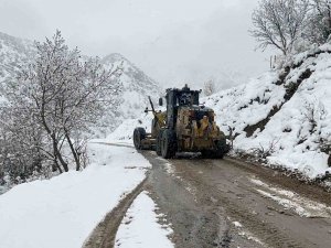 Çatak’ta Kar Yağışı