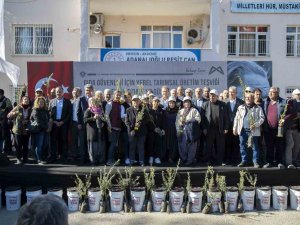 Mersin’de Çiftçiye Zeytin Fidanı Ve Organik Sıvı Gübre Desteği