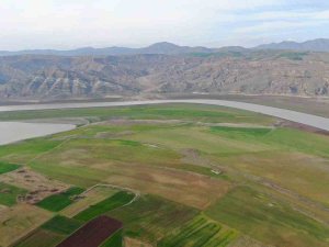 Baraj Sahasını Eken Çiftçiler: "Sular Gelirse Her Şey Gider"