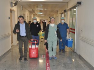 22 Yaşındaki Arife’nin Organları 4 Hastaya Umut Oldu