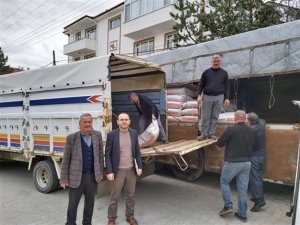 Kastamonu’da Meralar, Dağıtılan Tohumlarla Islah Edilecek