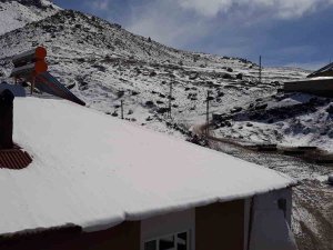 Erciş’te Kar Yağışı Hayvan Yetiştiricilerine Zor Anlar Yaşattı
