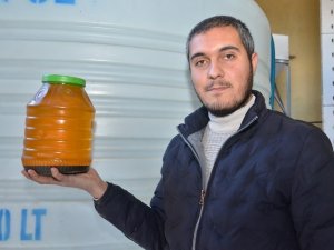 Elek Altı Çerezlik Ayçiçeği, Bu Tesiste Yağa Ve Küspeye Dönüşüyor