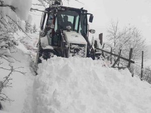 Giresun Yaylalarında Karla Mücadele