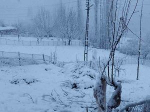 Batman’da Etkili Olan Kar Yağışı Köy Ve Mezra Yollarını Ulaşıma Kapattı