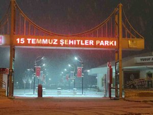 Van Yağan Karla Beyaza Büründü