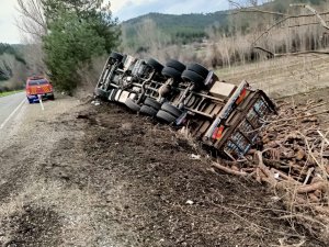 Virajı Alamayan Odun Yüklü Kamyon Devrildi: 1 Yaralı
