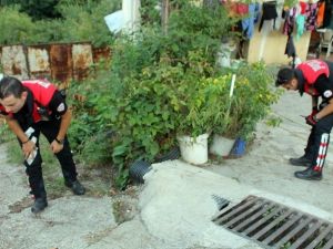 Tartıştığı Ağabeyini Tüfekle Yaraladı, Sonra Hastaneye Götürdü
