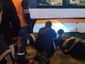 Eskişehir’de İki Köpek Tramvay Altında Kaldı