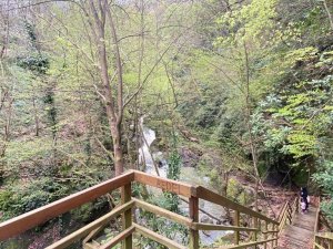 Şehre Beş Kilometre Mesafedeki Tabiat Anıtı İlgi Görüyor