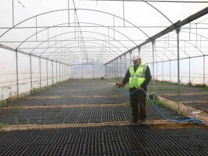 Iğdır’ı Süsleyecek Çiçekler Seralarda Üretiliyor