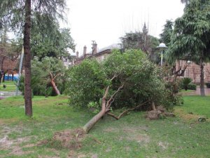 Manisa’ya Kuvvetli Rüzgar Ve Fırtına Uyarısı