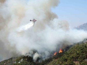 Güney Kore’nin Başkentinde Orman Yangını: 120 Ev Tahliye Edildi