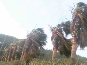 Muğla’ya Şiddetli Rüzgar Uyarısı