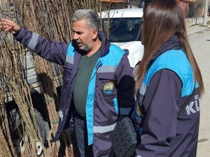 Altıntaş’ta Fidan Satışları Denetimleri