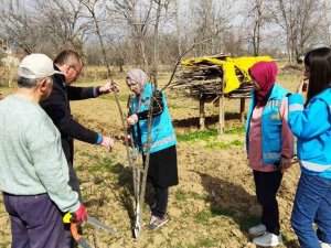 Hisarcık’ta Çiftçilere Meyve Ağaçlarında Budama Teknikleri Eğitimi